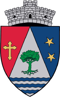 Stema Domnesti