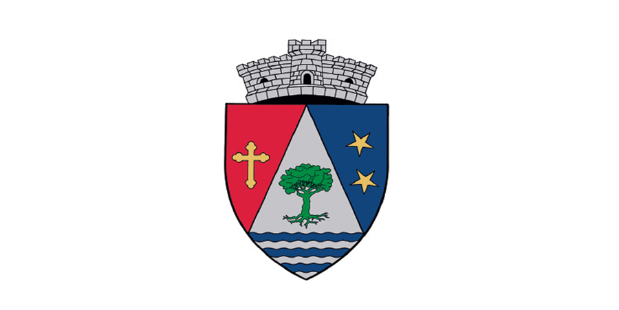 Stema Comuna Domnesti