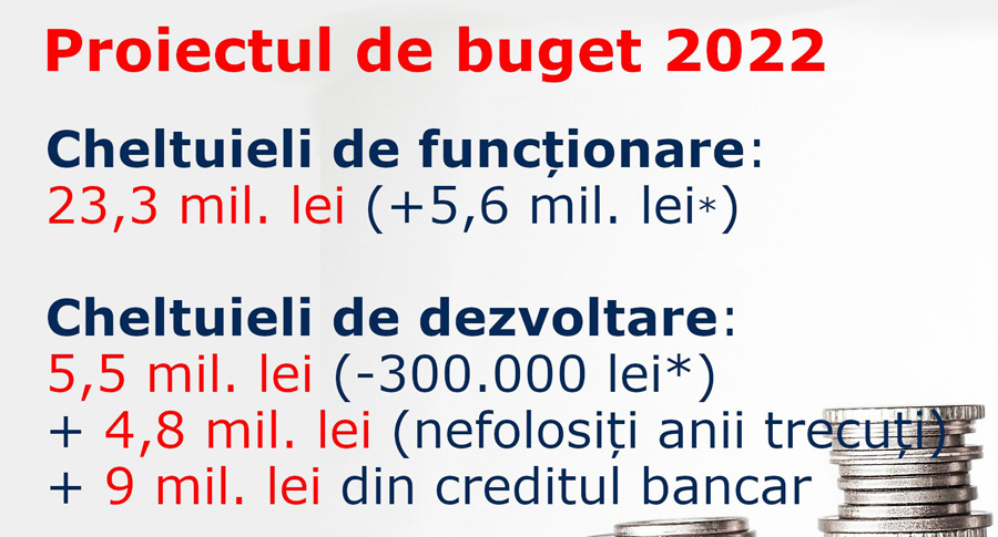 Proiect buget local Domnesti