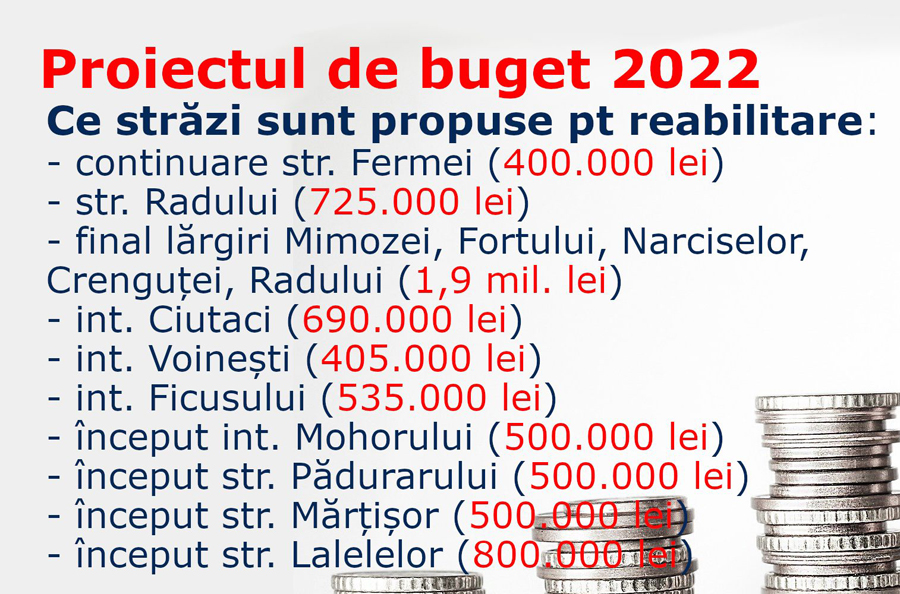 Strayi reabilitare 2022 Domnesti