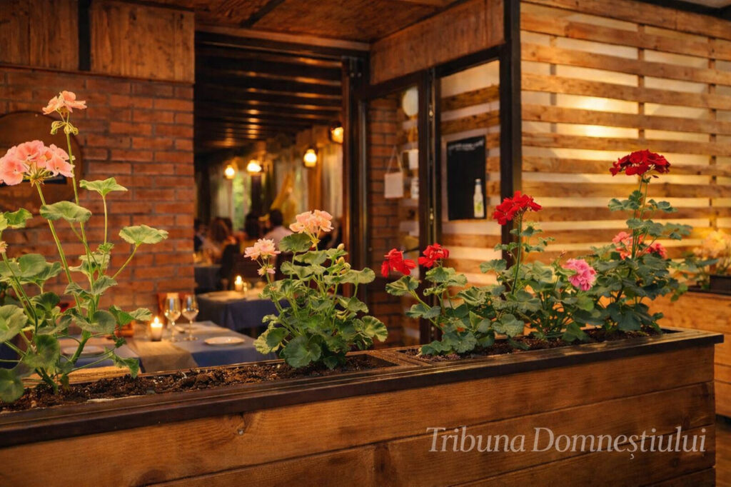 Restaurant Casa Virgilius