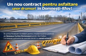 Asfaltare Domnesti