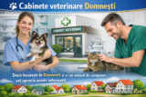 Cabinete veterinare Domnești