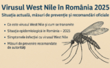 Infecții cu virusul West Nile în Ilfov