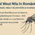 Vile de petreceri în Domnești-Ilfov