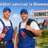 Service-uri auto Domnești