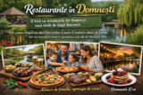 Restaurante în Domnești